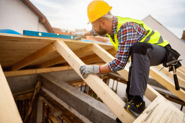 Best Roof Gutter Cleaning  in Gilmer, TX